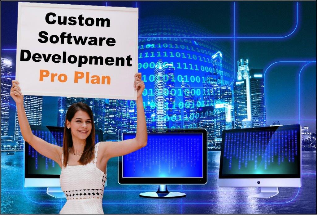 custom software development agency in Santa Fe New Mexico