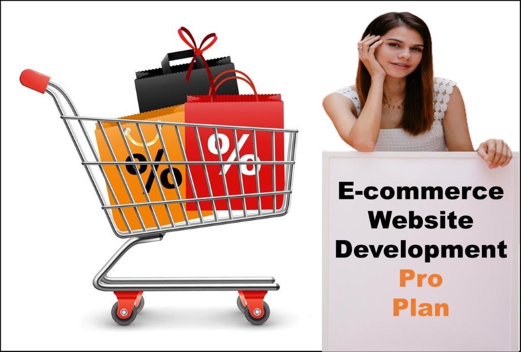 professional ecommerce website development agency in Santa Fe New Mexico