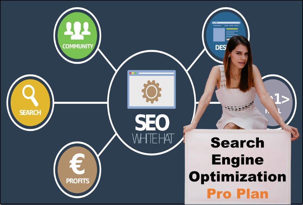 seo company Santa Fe New Mexico