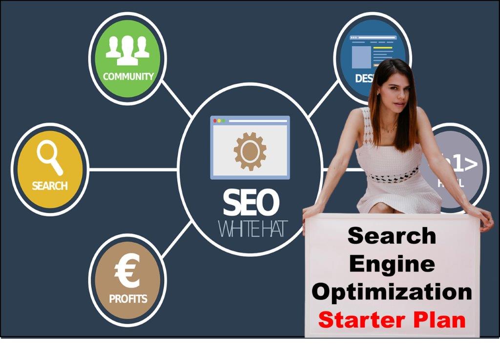 seo service provider in Santa Fe New Mexico