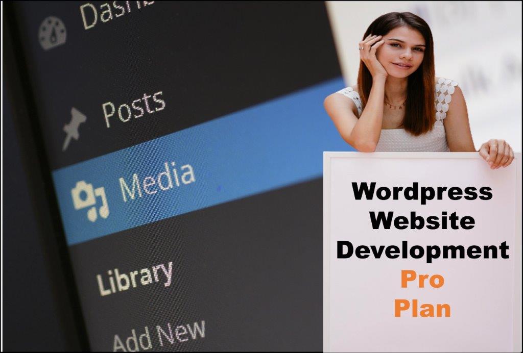 wordpress website designing in Santa Fe New Mexico